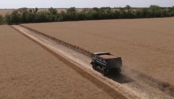 Минобороны России делает свой ход в зерновой сделке