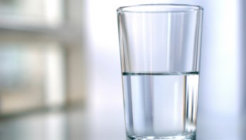 На Тайване обнаружили место жительства неглерии Фоулера