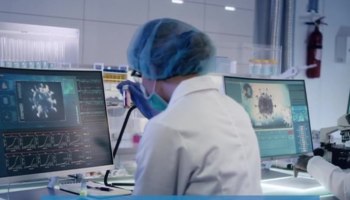 Новый штамм COVID-19: опасная "Пирола" распространяется по миру