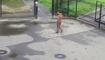 Житель Подмосковья с травматом напал на женщину в парке