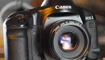 Фотоаппараты Canon, Sony и батарейки Duracell включены в параллельный импорт