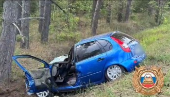 В ДТП на трассе в Башкирии погибли водитель и лось