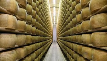 Итальянского фермера насмерть завалило головками сыра