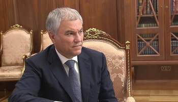 Киев одобряет продажу детей на органы, заявил Володин