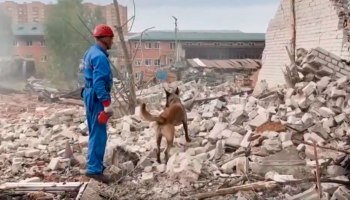 Взрывом в Сергиевом Посаде повредило 440 квартир и 184 машины