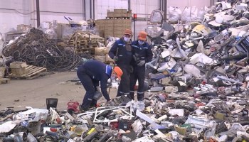 Утилизация опасной электроники в России заработает по-новому